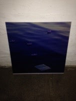 Flydende fællesskab - foto på akryl